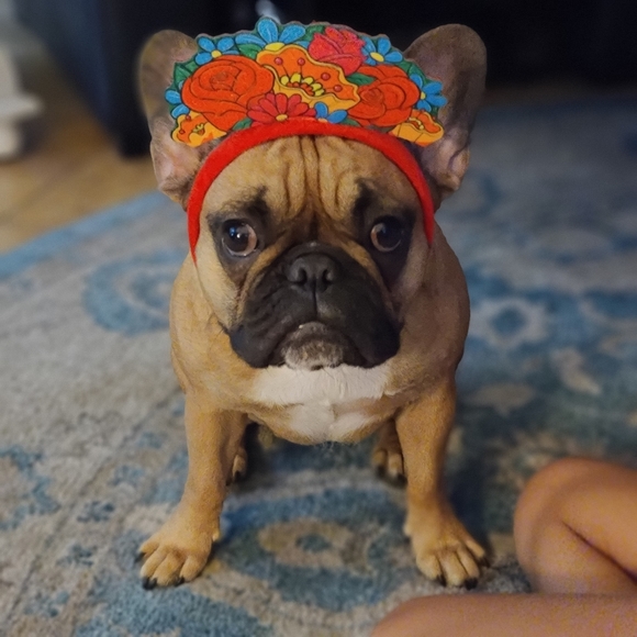 Meet your Posher, Annette - Picture 2 of 15